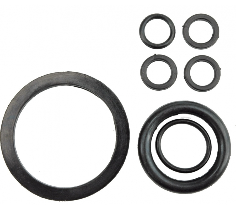 SET OF GASKETS FOR PRESSURE SPRAYER (89545)