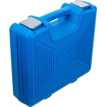 Dyzelinių variklių purkštukų ištraukimo rinkinys | Ford EcoBlue 2.0L (74665)