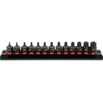 Smūginiai antgaliukai su skylutėmis TORX | T10 - T70 | 3/8" | 13 vnt (YT-10668)