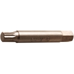Antgalis | 12.5 mm (1/2") | Spline (for XZN) M10 (4246-M10)
