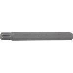 Antgalis | ilgis 100 mm | 10 mm (3/8") | Spline (RIBE) M10 (4775)